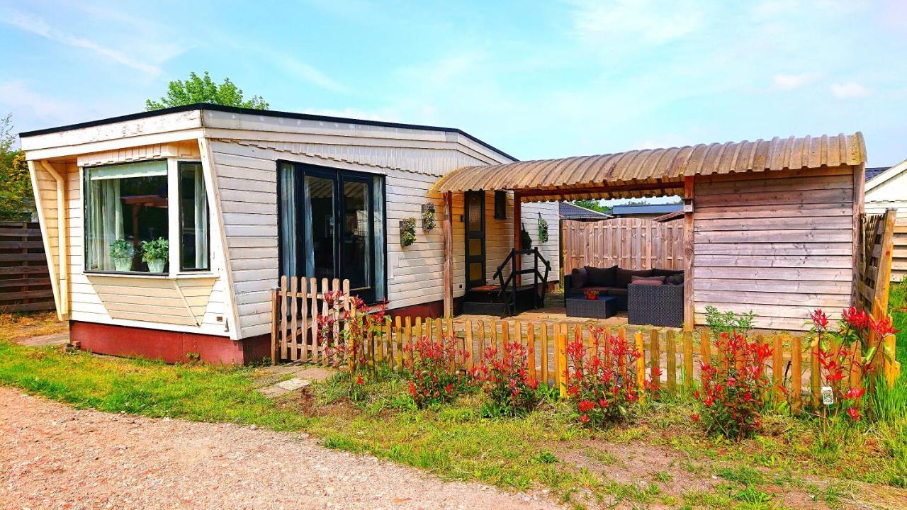 *Butterfly* Heerlijke Chalet Met Omheinde Tuin In Bosrijke Omgeving. Vila Anloo Exterior foto